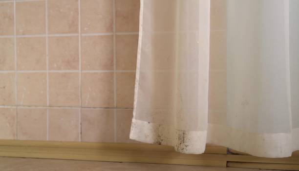 Best Mold Remediation for Healthcare Facilities  in Springdale, PA