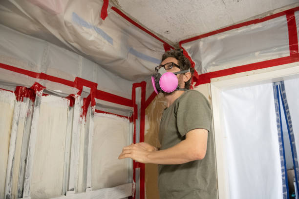 Best Forensic Mold Investigation  in Springdale, PA