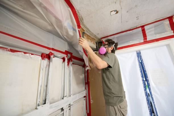 Asbestos and Lead Testing During Mold Inspection in Springdale, PA