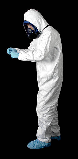 Best Crawl Space Mold Remediation  in Springdale, PA